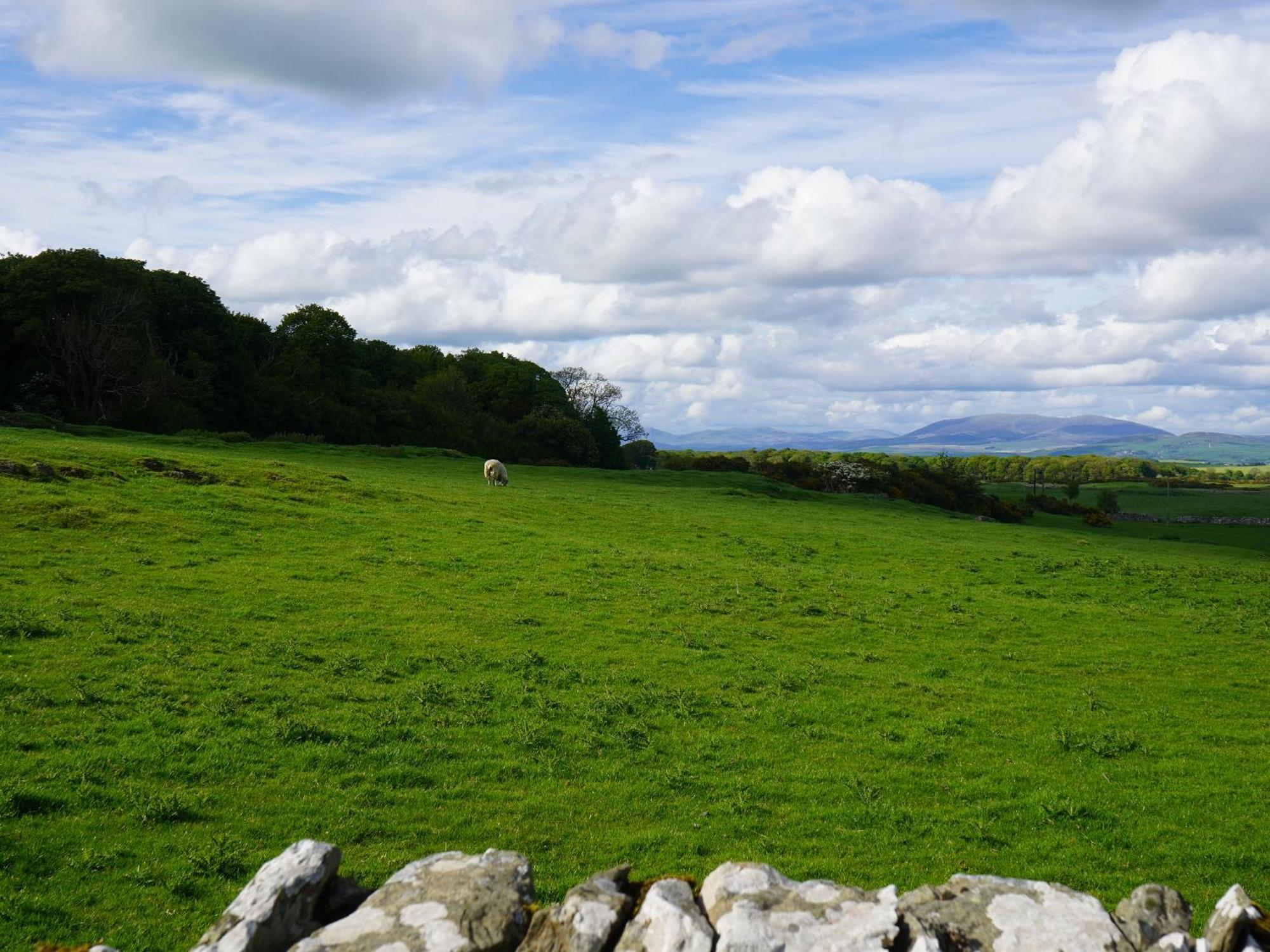 Roe Deer Lodge Newton Stewart Extérieur photo